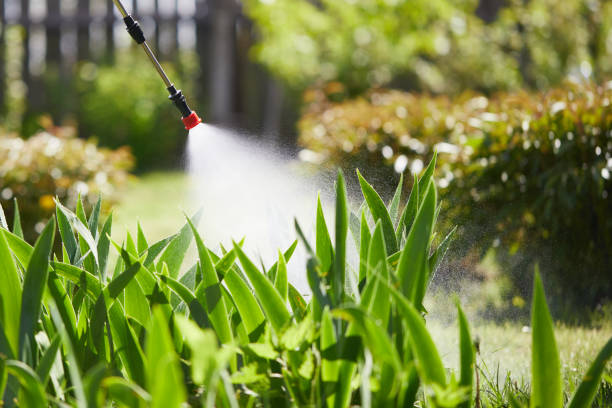 24/7 Emergency Termite Control experts in Ranson, WV