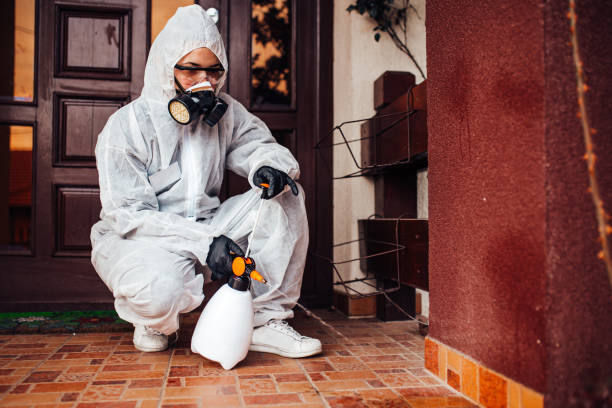 Reliable Termite Control contractor in Ranson, WV by Nex Pest Control