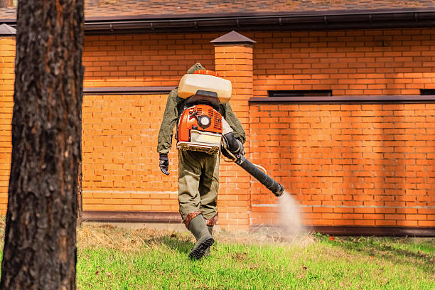 Top rated local Termite Control specialists in Ranson, WV
